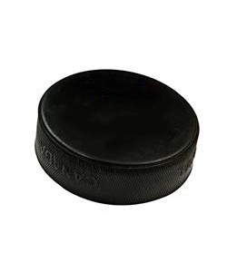 Hockey Puck Bench Block